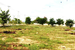 Liên quan đến vụ ‘Công ty nợ thuế, người dân chờ sổ đỏ’, thanh tra chỉ ra nhiều sai phạm