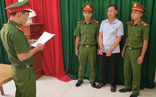 Quảng Nam: Khởi tố 3 đối tượng khai thác trái phép 56 cây gỗ tự nhiên