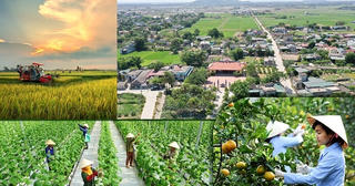 Thanh Hóa: Có nhũng nhiễu trong lĩnh vực đất đai