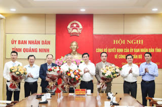 Quảng Ninh: Phó Giám đốc Sở GT-VT làm Giám đốc BQL ĐTXD các công trình giao thông