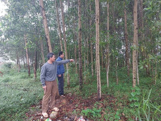 Hà Tĩnh: Chỉ đạo giải quyết vụ trưởng thôn cắt đất nhà văn hóa thôn bán cho dân