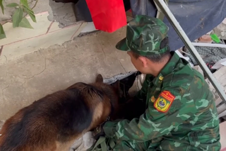 Động đất tại Myanmar: Chó nghiệp vụ Việt Nam tìm thấy nạn nhân bị vùi lấp