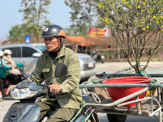 Thu tiền triệu mỗi ngày từ nghề 'chở Tết' về nhà