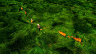 Đưa vẻ đẹp Việt ra thế giới