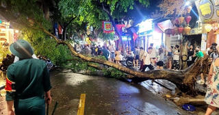 Hà Nội: Nhiều cây cổ thụ gãy đổ trong mưa giông