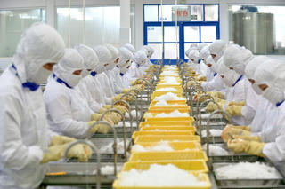 Hàng Việt tiến vào thị trường châu Mỹ