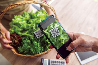 Nâng cao chất lượng mã số vùng trồng