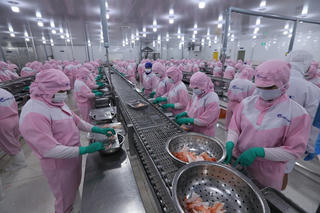 Khi doanh nghiệp xuất khẩu 'đói' thông tin