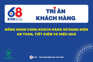 EVN triển khai Tháng tri ân khách hàng năm 2022