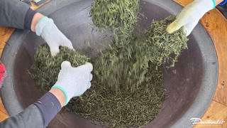 Loại trà tại huyện Đại Từ được bán với giá 68 triệu đồng/kg có gì đặc biệt?