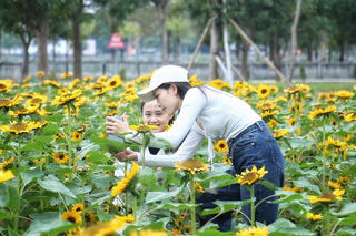 [ẢNH] Người dân nườm nượp đổ về Festival hoa lớn nhất Thủ đô 