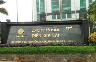 Điện Gia Lai bị xử phạt vì vi phạm hành chính thuế