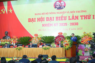 Phát triển bền vững, kiến tạo tương lai xanh cho đất nước