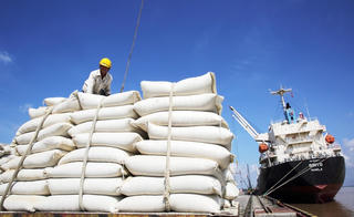 Rộng cửa xuất khẩu gạo