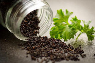 Kiểm soát nhập khẩu thuốc Spravato và hạt cây có chứa chất ma túy