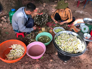 Mùa măng rừng miền Đông