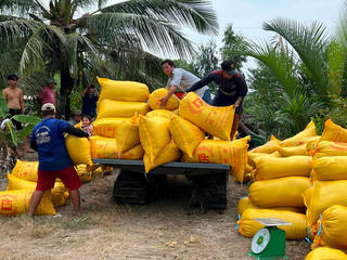 Thương lái bỏ cọc, nông dân lao đao