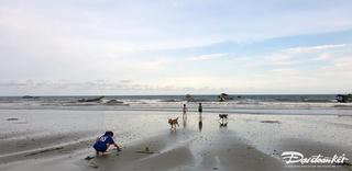 Yên Bình Trà Cổ