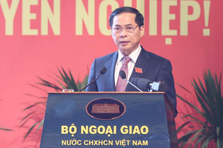 Phó Thủ tướng Bùi Thanh Sơn được chỉ định giữ chức Bí thư Đảng ủy Bộ Ngoại giao