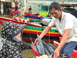 Hối hả ở cảng cá trước thời khắc bão đổ bộ