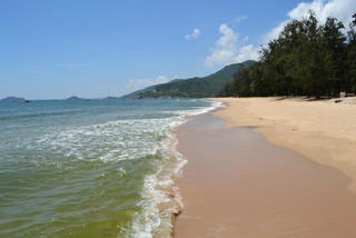 Bình yên nghe sóng