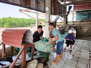 Làm giàu từ bãi bồi hoang hóa