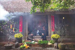 Háo hức chờ bong bóng lợn đụng