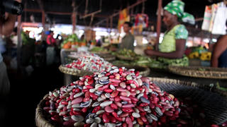 Giải pháp cho an ninh lương thực châu Phi