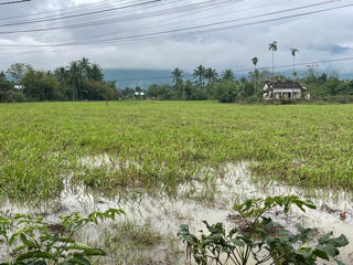 Thừa Thiên - Huế: Tìm thấy thi thể 2 cậu cháu mất tích