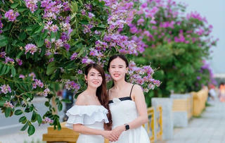 ‘Check-in’ với hoa bằng lăng