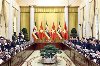 Việt Nam - Uganda: Tăng cường hợp tác kinh tế