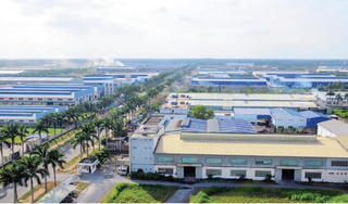Chủ tịch Tập đoàn Tân Tạo nói gì sau thông tin bị buộc phá sản?