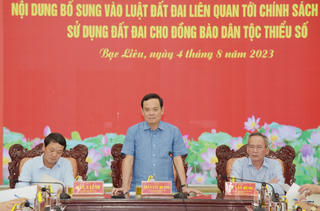 Phó Thủ tướng Trần Lưu Quang: Thực hiện chương trình mục tiêu quốc gia cần quyết liệt hơn nữa