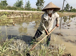 Miền Bắc sắp được 'giải nhiệt'