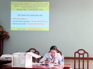 Quảng Nam: Đấu giá 3 mỏ cát, giá khởi điểm vài tỷ, trúng hàng trăm tỷ đồng