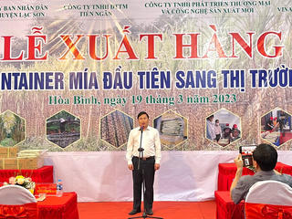 Hòa Bình: Chỉ đạo hỗ trợ ngành mía từ đơn hàng đầu tiên xuất khẩu sang Mỹ