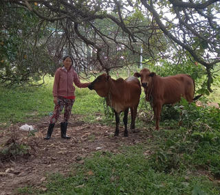 Nỗ lực hỗ trợ đồng bào được vay vốn theo Nghị định 28/2022/NĐ-CP tại Ea Súp