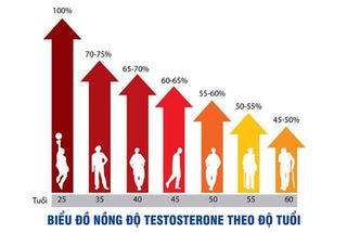 Bổ sung Testosterone – Lợi ích và những nguy cơ tiềm ẩn