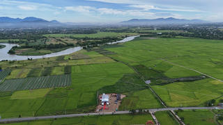 Đường sắt cao tốc qua Đà Nẵng: Giải tỏa, tái định cư đóng vai trò then chốt