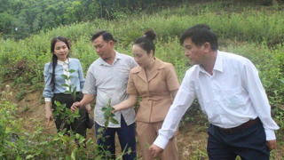 Phát triển kinh tế Hợp tác xã trong đồng bào dân tộc thiểu số