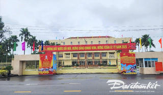 Quảng Nam: 8 Bí thư huyện ủy xin nghỉ hưu trước tuổi