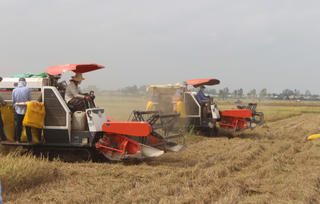 Đánh thức khát vọng thoát nghèo