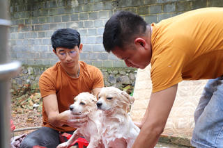 Tình cảm của những bạn trẻ dành cho hàng trăm chó mèo bỏ rơi