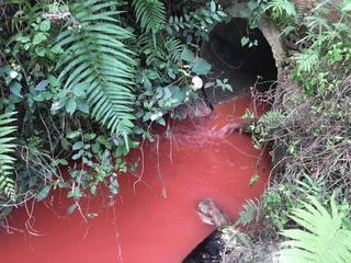 Tạm dừng hoạt động công ty thực phẩm xả thải gây ô nhiễm