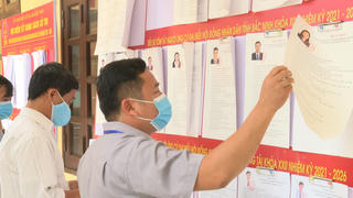 Hơn 69 triệu cử tri cả nước đi bầu cử