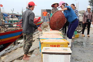 Hồi sinh nghề biển