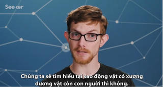 [VIDEO] Lý do con người không có xương dương vật