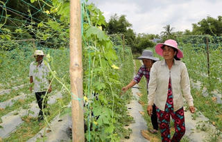 Đời sống đồng bào Khmer ngày càng khởi sắc
