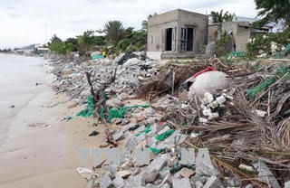 Ninh Thuận: Biển xâm thực gây nguy hiểm cho nhà dân