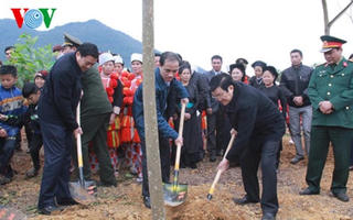 Chủ tịch nước Trương Tấn Sang phát động Tết trồng cây